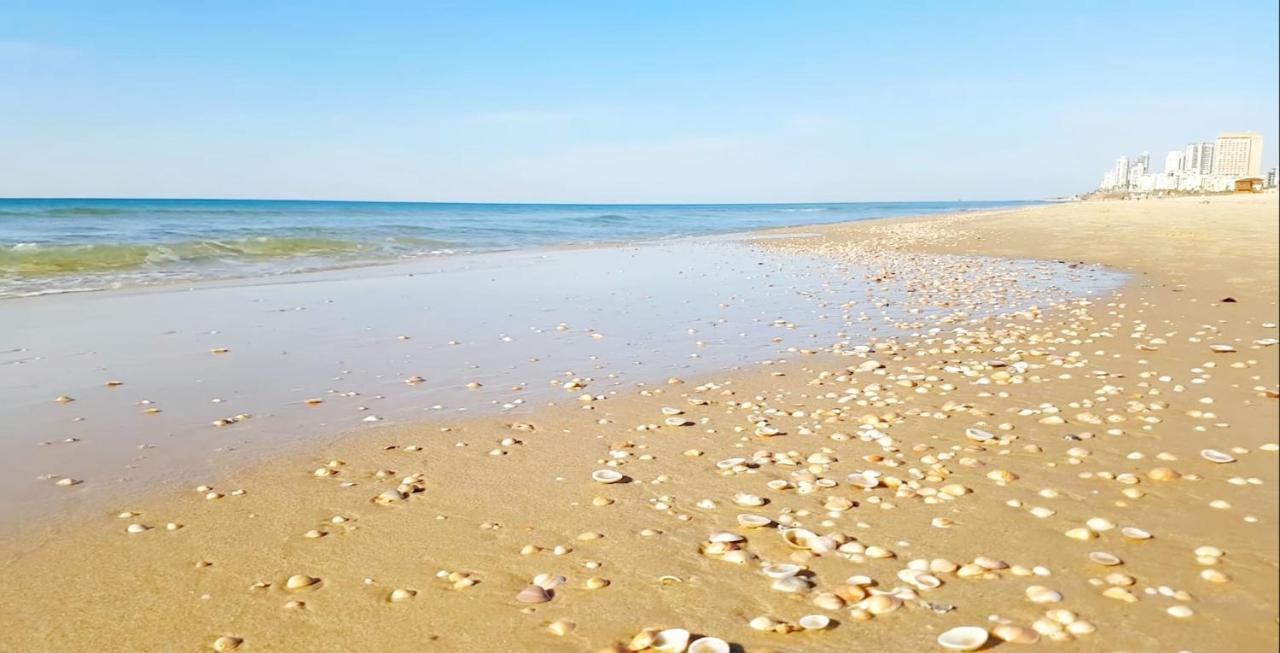 Beachfront Studio Apartment Bat Yam 412 Ngoại thất bức ảnh