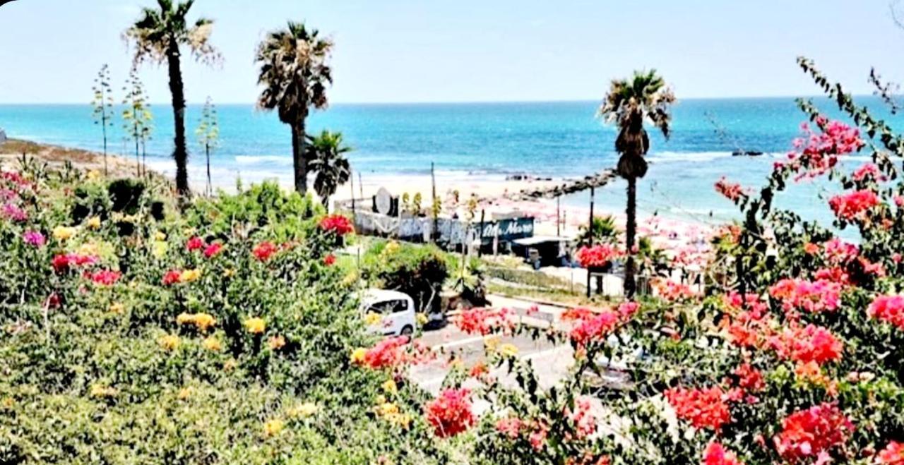 Beachfront Studio Apartment Bat Yam 412 Ngoại thất bức ảnh